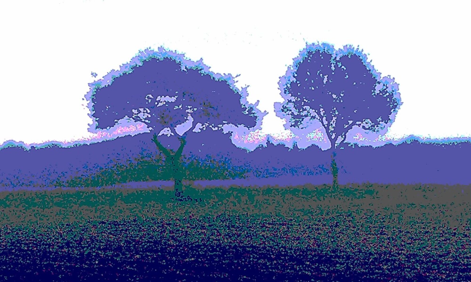 bomen blauw
