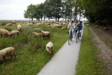 fietsen in drenthe